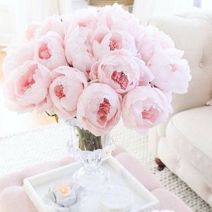 Meet your Posher, Molly